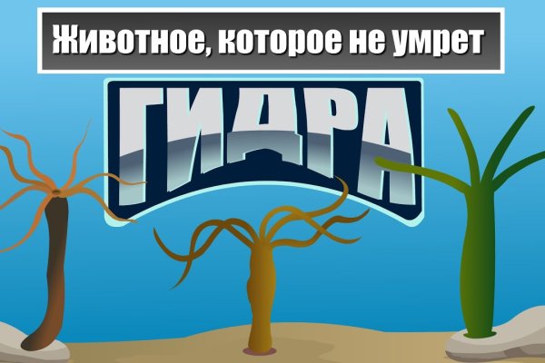 Даркнет товары